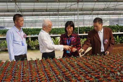 神舟帶回的太空蔬菜更好吃？江門“飛天”種子專業戶揭示農業科研新篇章