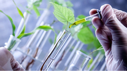 里貝里生物科技引進創新技術，引領水溶肥研發與生產新篇章