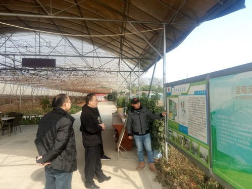 四川省農科院科技處黨支部赴基層調研新型農業經營主體發展